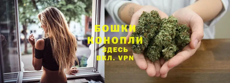 наркотики  Октябрьский  Шишки марихуана Ganja 